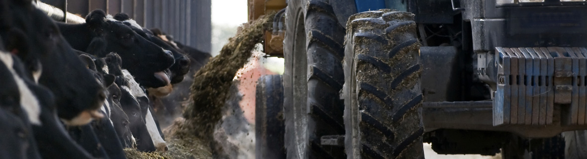 Feed Hygiene Delivery 